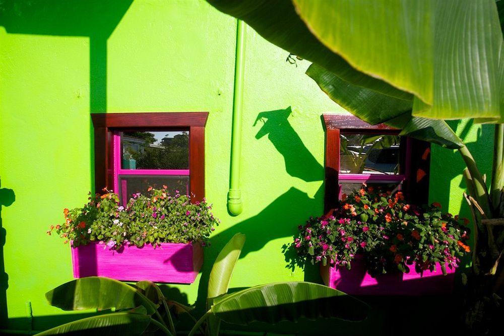 St. John Inn Cruz Bay Exteriör bild