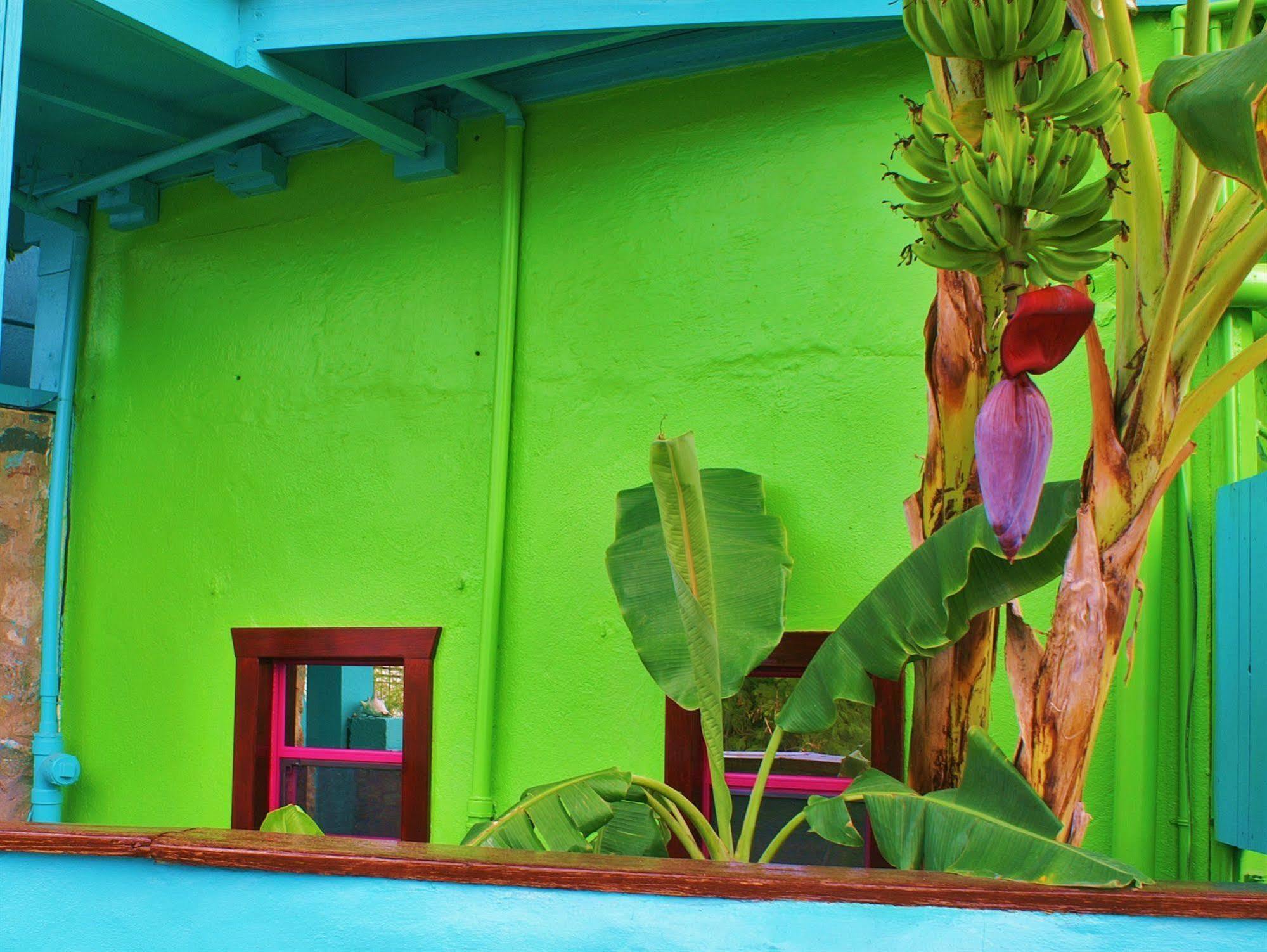 St. John Inn Cruz Bay Exteriör bild